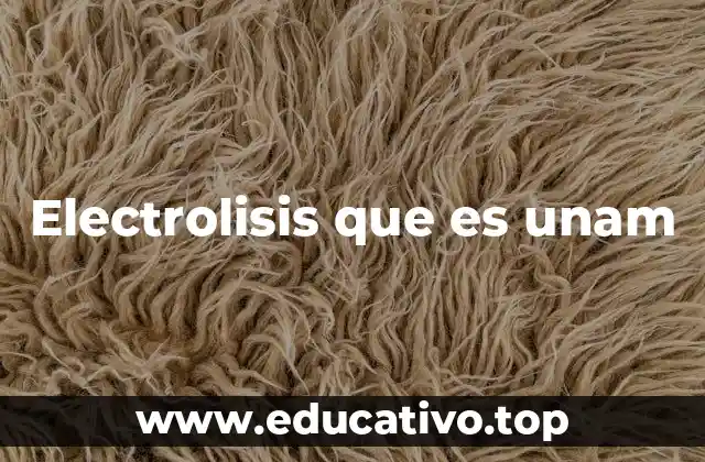 Electrolisis que es unam