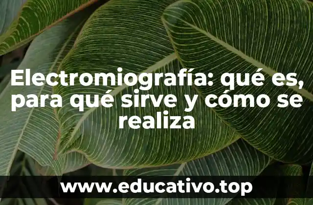 Electromiografía: qué es, para qué sirve y cómo se realiza