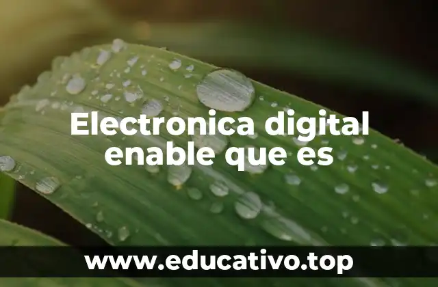 Electronica digital enable que es