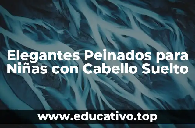 Elegantes Peinados para Niñas con Cabello Suelto