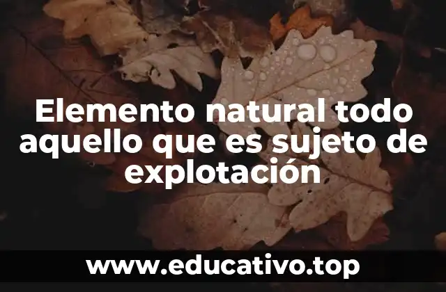 Elemento natural todo aquello que es sujeto de explotación