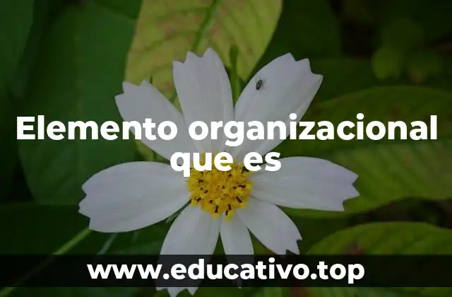 Elemento organizacional que es