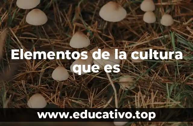 Elementos de la cultura que es