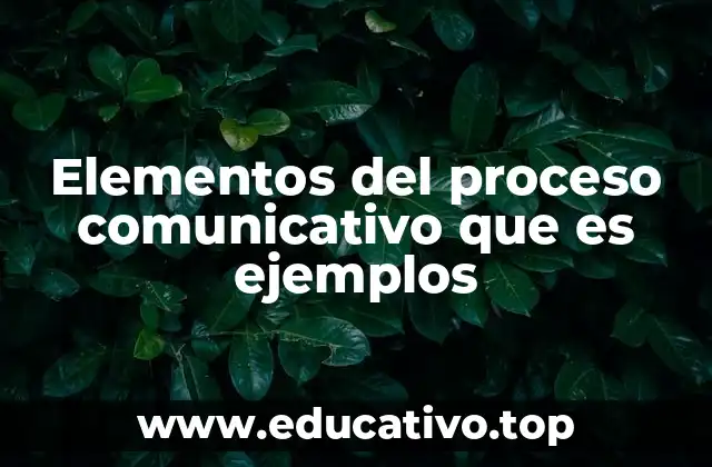 Elementos del proceso comunicativo que es ejemplos