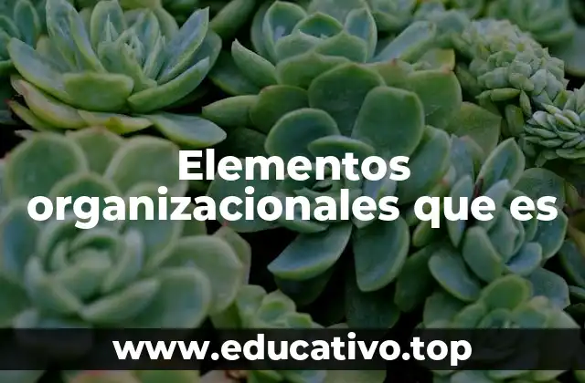 Elementos organizacionales que es