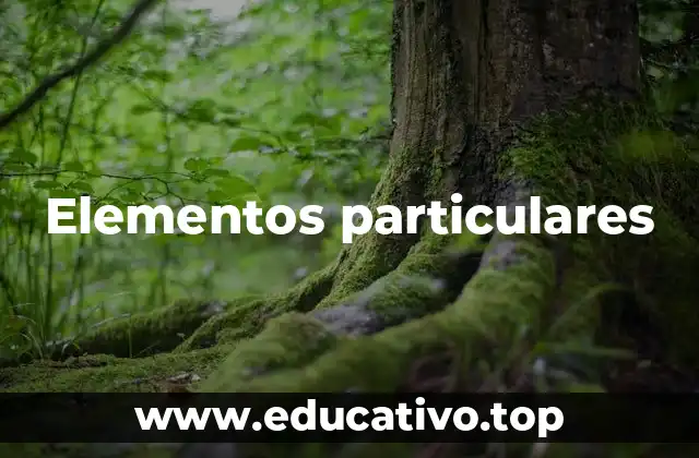 Elementos particulares