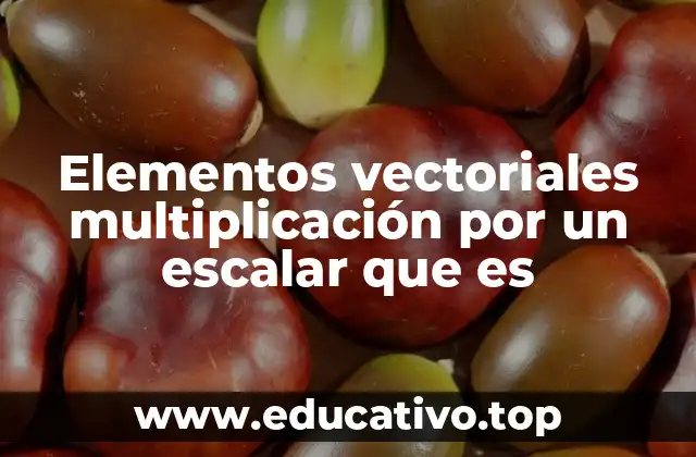 Elementos vectoriales multiplicación por un escalar que es
