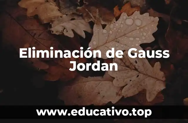 Eliminación de Gauss Jordan