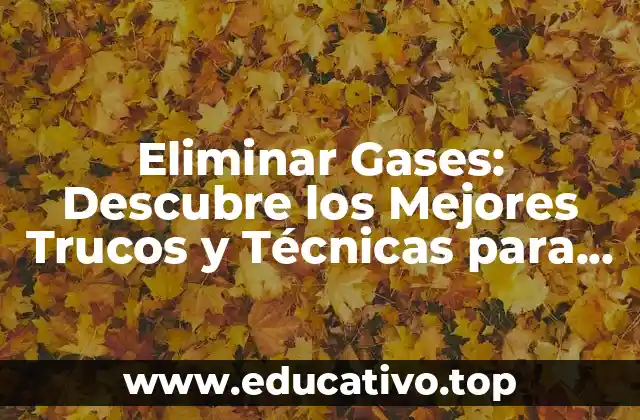 Eliminar Gases: Descubre los Mejores Trucos y Técnicas para Reducir la Flatulencia