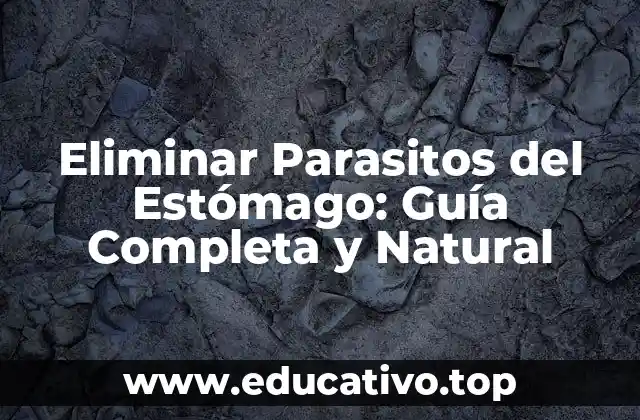 Eliminar Parasitos del Estómago: Guía Completa y Natural