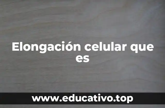 Elongación celular que es