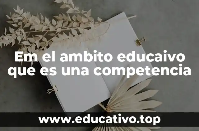 Em el ambito educaivo que es una competencia