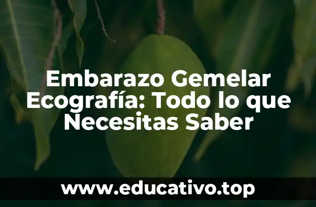 Embarazo Gemelar Ecografía: Todo lo que Necesitas Saber