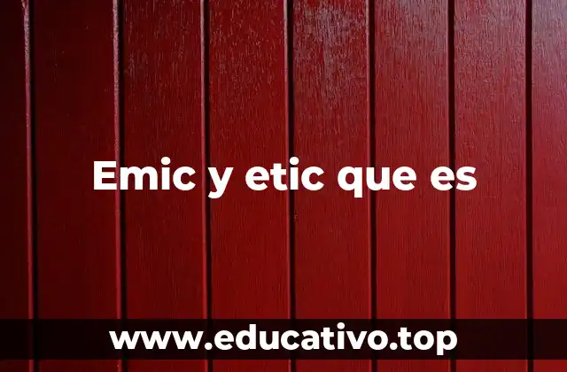 Emic y etic que es