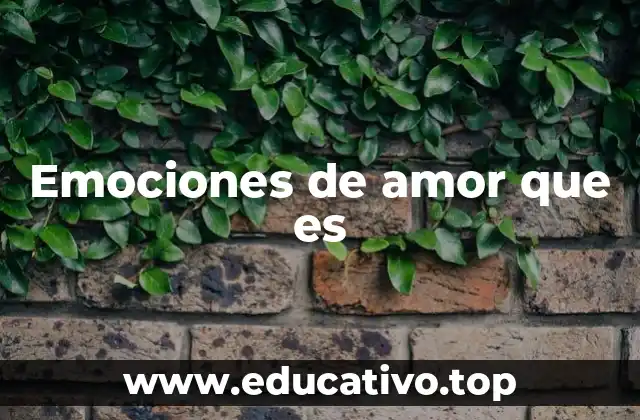 Emociones de amor que es