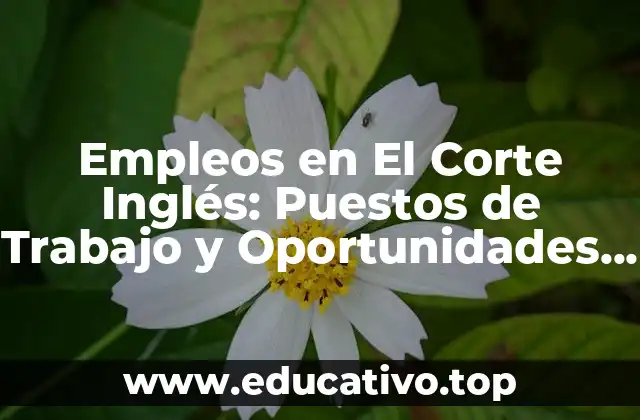Empleos en El Corte Inglés: Puestos de Trabajo y Oportunidades Laborales