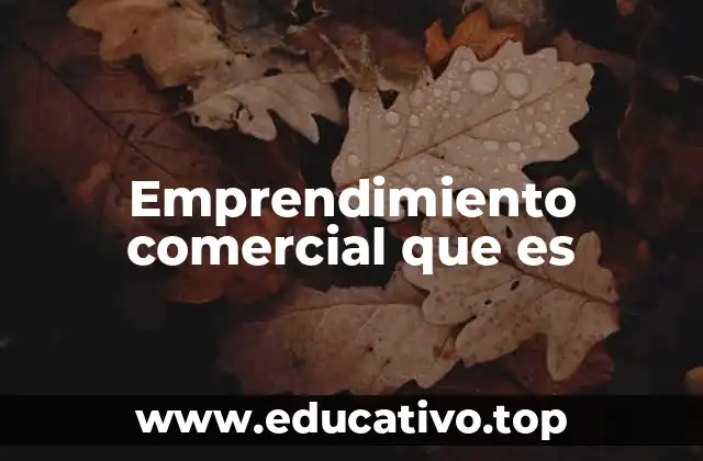 Emprendimiento comercial que es