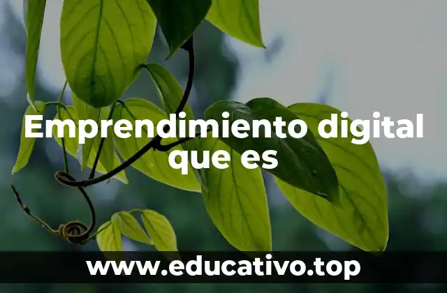 Emprendimiento digital que es