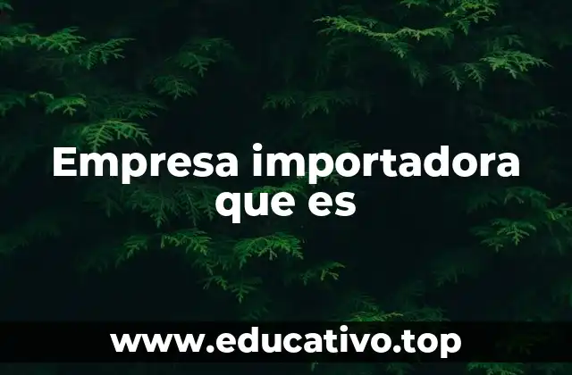 El papel de las empresas importadoras en la economía