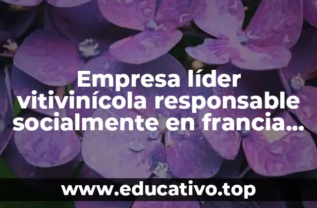 Empresa líder vitivinícola responsable socialmente en francia que es