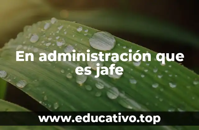 En administración que es jafe