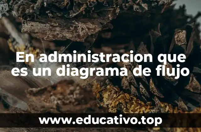 En administracion que es un diagrama de flujo