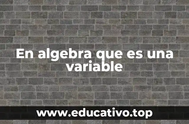 En algebra que es una variable