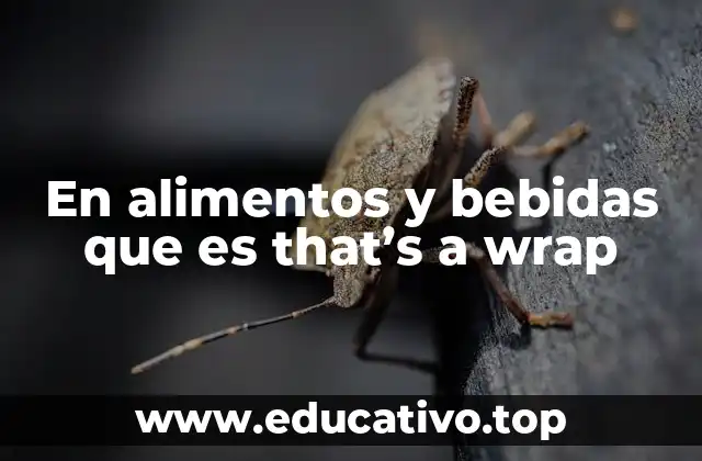 En alimentos y bebidas que es that’s a wrap