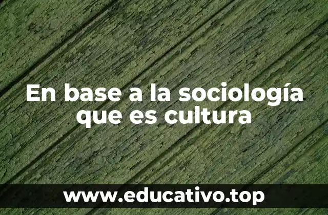 En base a la sociología que es cultura