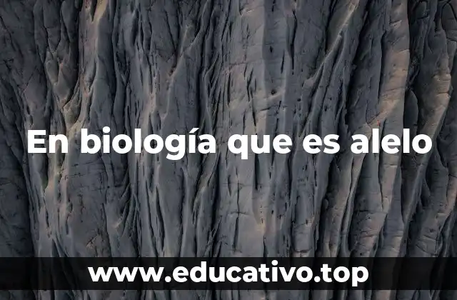 En biología que es alelo