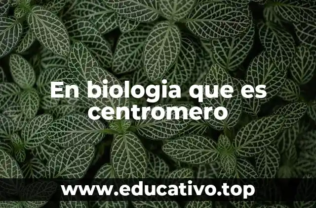 En biologia que es centromero
