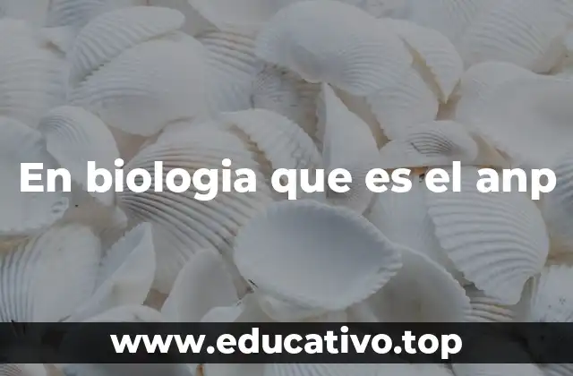 En biologia que es el anp