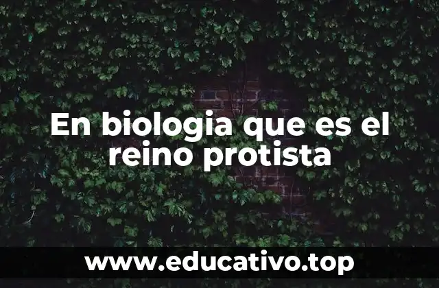 En biologia que es el reino protista