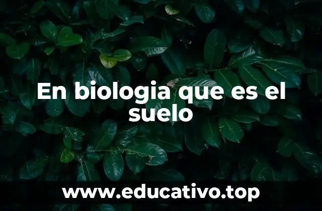 En biologia que es el suelo