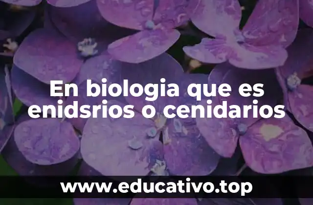 En biologia que es enidsrios o cenidarios