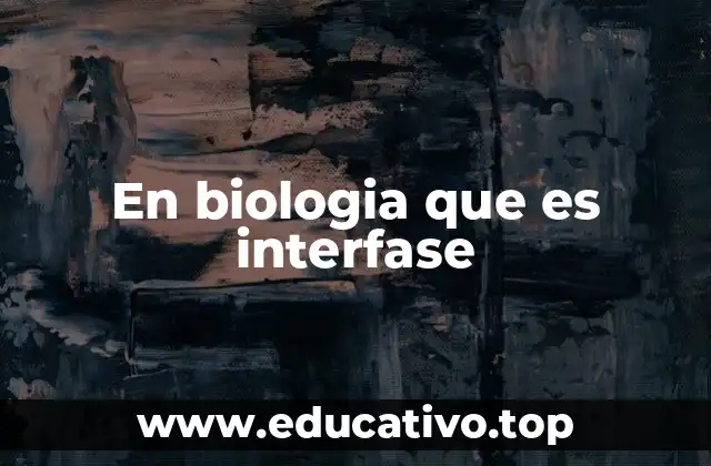 En biologia que es interfase