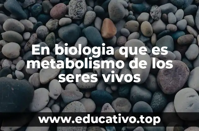 En biologia que es metabolismo de los seres vivos