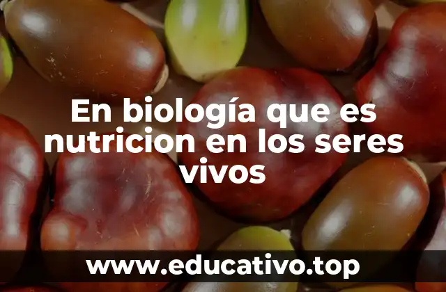 En biología que es nutricion en los seres vivos
