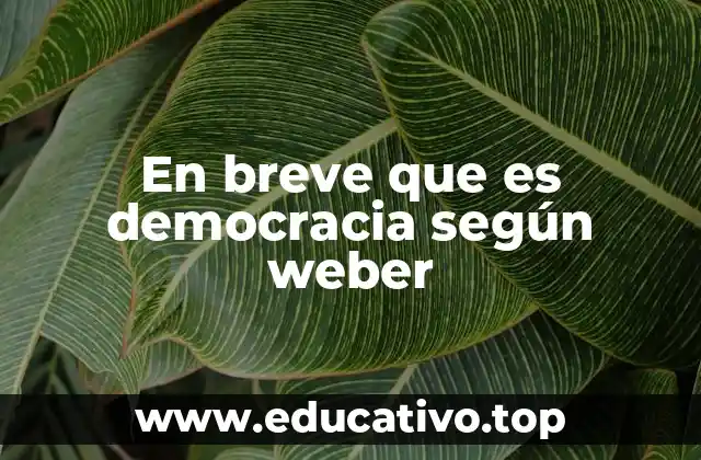 En breve que es democracia según weber