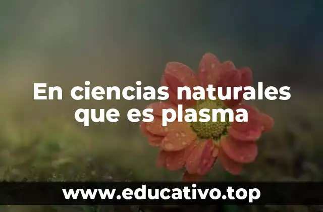 En ciencias naturales que es plasma