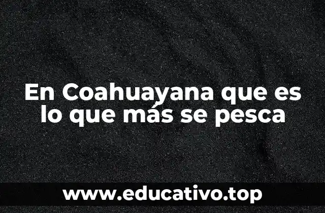 La importancia ecológica de la pesca en Coahuayana
