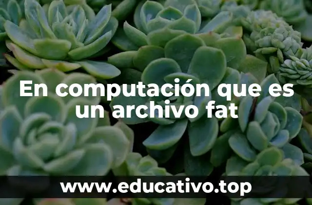 En computación que es un archivo fat