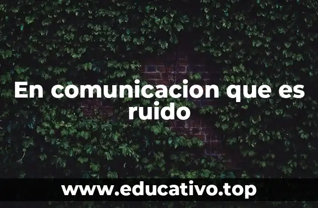 En comunicacion que es ruido