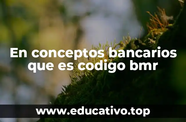En conceptos bancarios que es codigo bmr