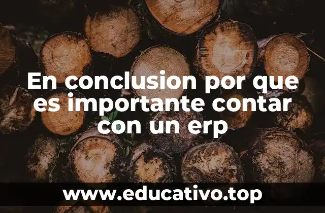 En conclusion por que es importante contar con un erp