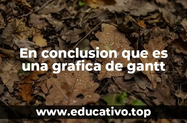 En conclusion que es una grafica de gantt