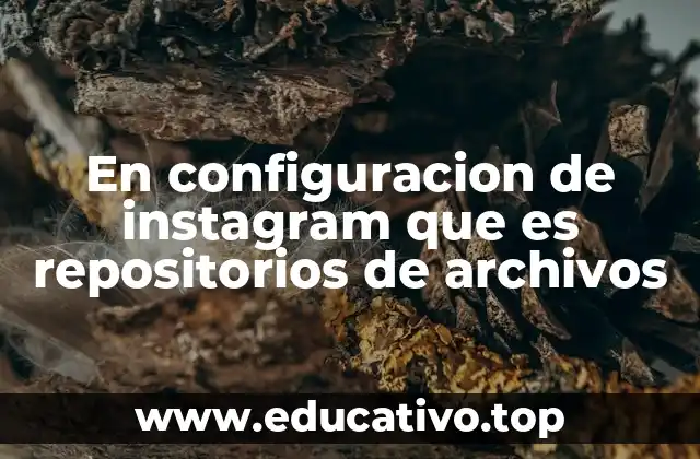 En configuracion de instagram que es repositorios de archivos