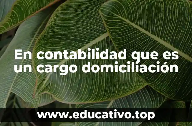 En contabilidad que es un cargo domiciliación