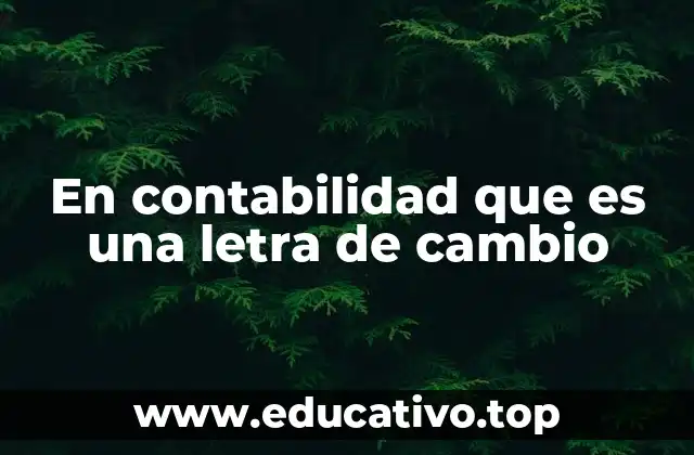 En contabilidad que es una letra de cambio