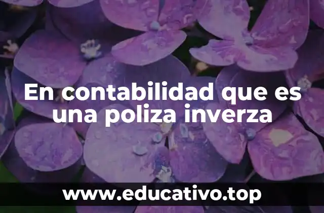 En contabilidad que es una poliza inverza